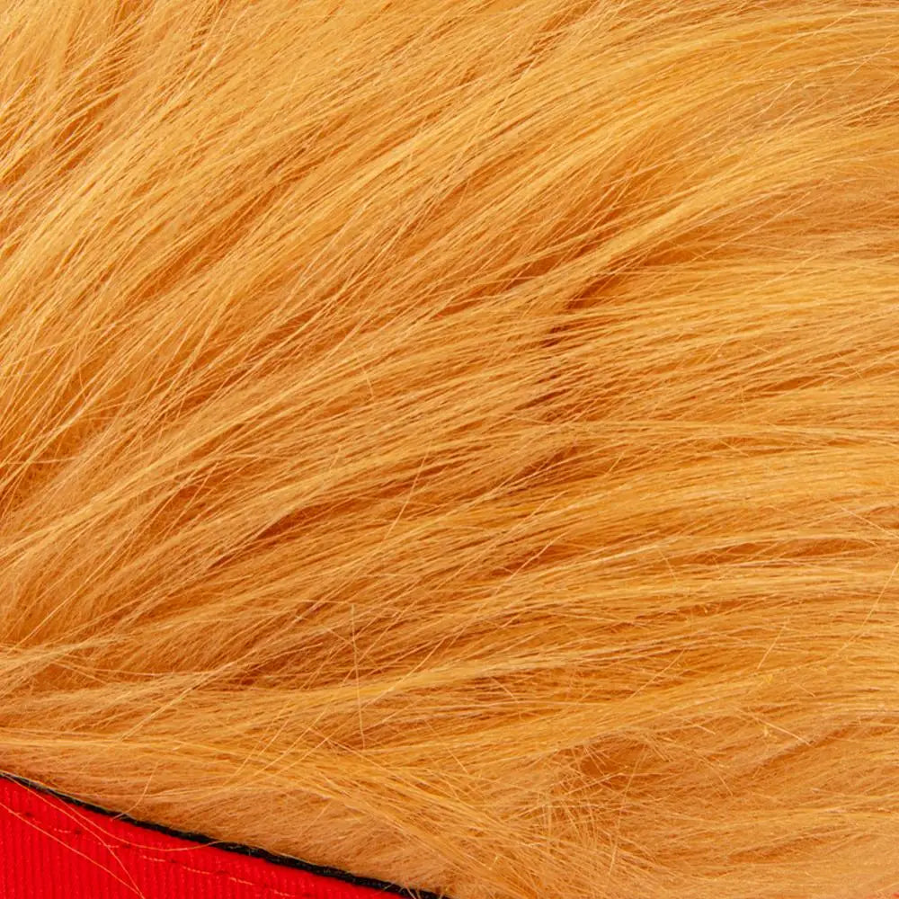 Trump Hat with Hair